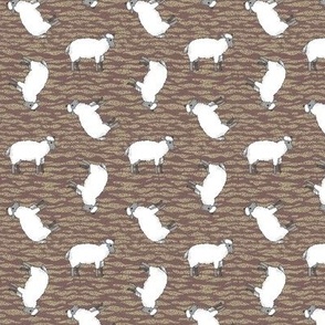 Tilted Sheep on Brown