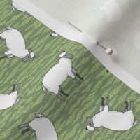 Tilted Sheep on Green