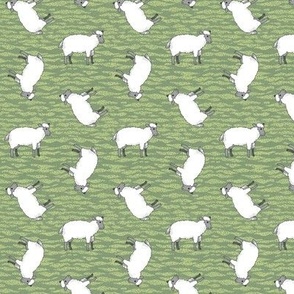 Tilted Sheep on Green