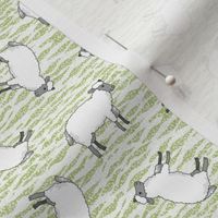 Tilted Sheep on Green and White