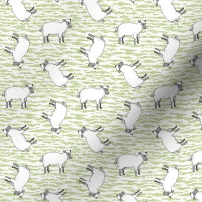 Tilted Sheep on Green and White