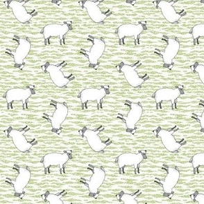 Tilted Sheep on Green and White