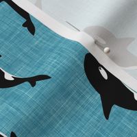 orca - killer whales - blue (90)  C21