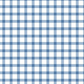 Gingham check blue and white