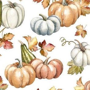 Large Scale / Pumpkins / White Background