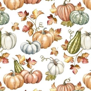 Small Scale / Pumpkins / White Background