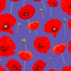 Poppies on indigo