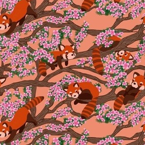 _Red_Panda_Lazy_Cherry tree