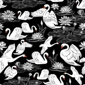 Swans and Water Lilies • MEDIUM