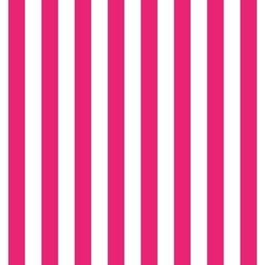 Hot Pink Half Inch Vertical Stripes