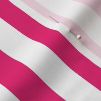 Hot Pink 1 Inch Vertical Stripe