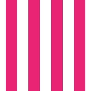 Hot Pink 1 Inch Vertical Stripe