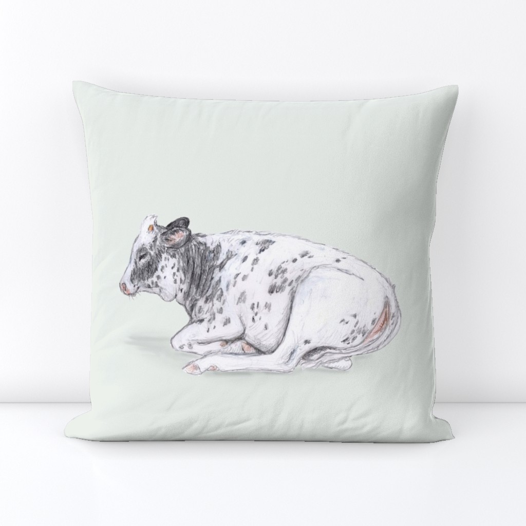 Dairy Calf for Pillow