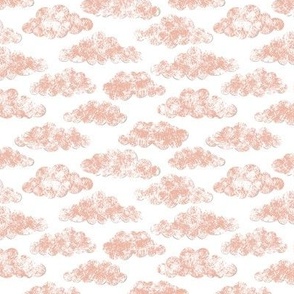 friendly clouds coral
