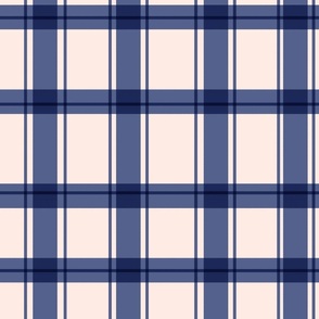 Gingham Check in Blue