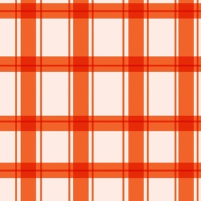 Gingham Check in Red