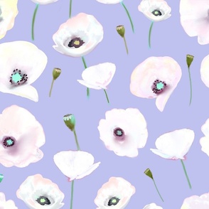 White poppies on lavender