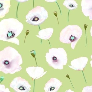 White poppies on green