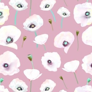 White poppies on dusky pink