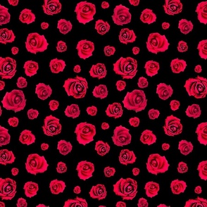 Red Roses and Striking Black