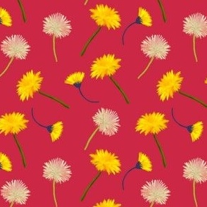 Dandelions on red