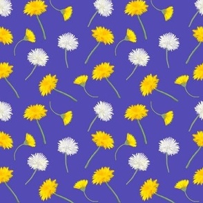 Dandelions on indigo