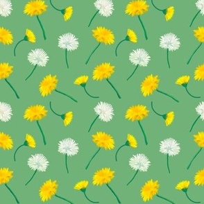 Dandelions on  green