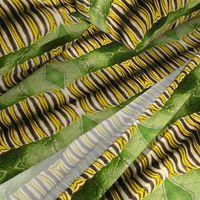 AJ MONARCH CATERPILLAR ON LEAF-HORIZONTAL JUMBO-MIRROR