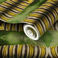 AJ MONARCH CATERPILLAR ON LEAF-HORIZONTAL JUMBO-MIRROR