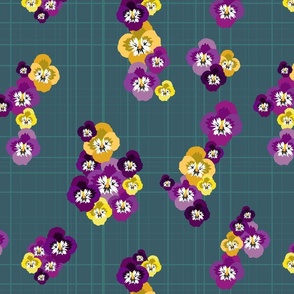 Pansies with teal background