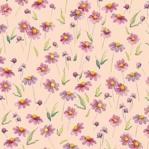 Pink Daisies - Soft Apricot 
