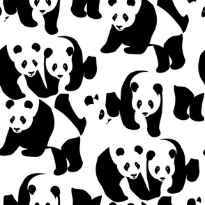 Bear-ly Camouflaged Panda Bears 