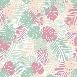 Troical pastel // Normal Scale // Exotic leaves // Summer Mood // Pastel Light Green Pink Cream Mostera PalmWhite Background