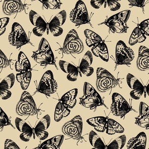 Butterflies No. 2 Creme
