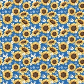 Sunflower daisies