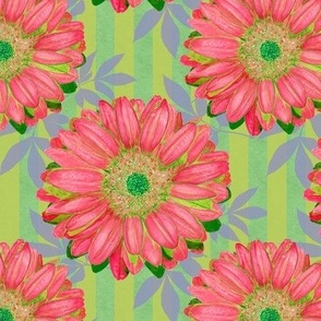 Pink Gerbera Daisies on Green Stripes with Leaves - half step repeat (Large)