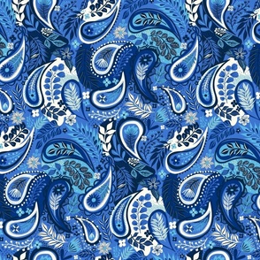 Paisley patterns B