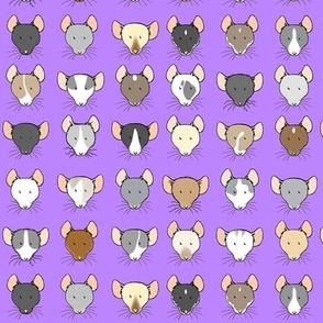 Purple Ratty Faces