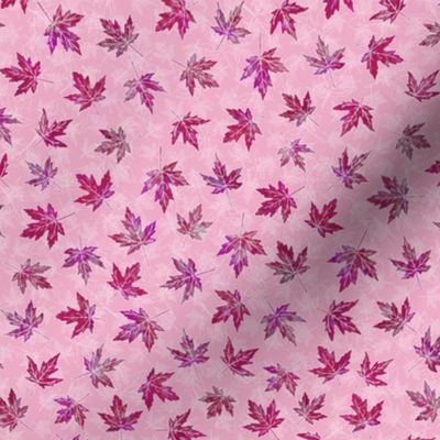 Small Cranberry Scattered Maple Leaves on Pink Texture