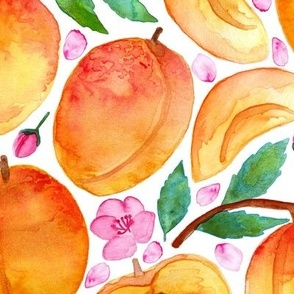 Apricot Abundance on White - Large