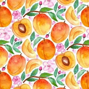 Apricot Abundance on White - Small