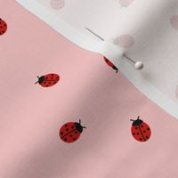 Ladybug Pink - small