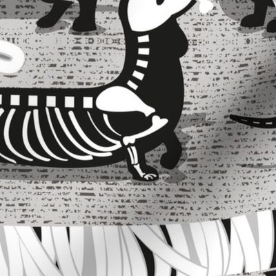 Large scale // Spooktacular long dachshunds // light grey background halloween mummy ghost and skeleton dogs