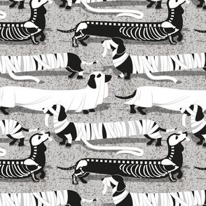 Normal scale // Spooktacular long dachshunds // light grey background halloween mummy ghost and skeleton dogs