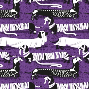 Normal scale // Spooktacular long dachshunds // studio purple background halloween mummy ghost and skeleton dogs