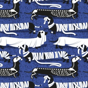 Normal scale // Spooktacular long dachshunds // electric blue background halloween mummy ghost and skeleton dogs