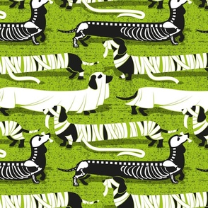 Normal scale // Spooktacular long dachshunds // bahia green background halloween mummy ghost and skeleton dogs