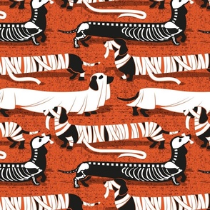 Normal scale // Spooktacular long dachshunds // gold drop orange background halloween mummy ghost and skeleton dogs
