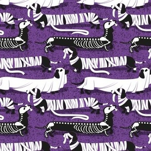Small scale // Spooktacular long dachshunds // studio purple background halloween mummy ghost and skeleton dogs