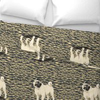 Fawn Pug 2 on Dramatic Background for Pillow